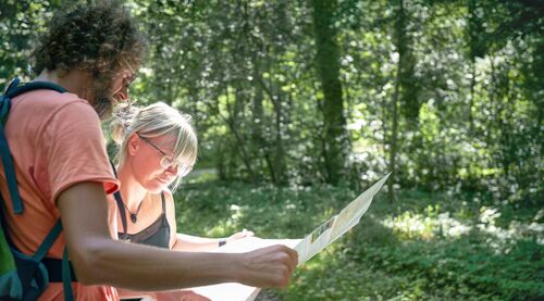 Um notwendige Vegetationsrückschnitte auszugleichen, forstet das Projekt an mehreren Standorten wieder Wald auf.